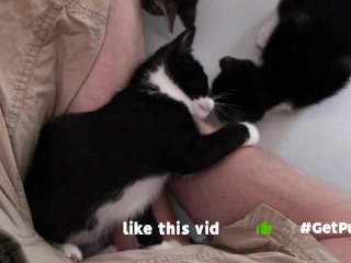 camera man joins, tiny pussy, hairy pussy, exclusive