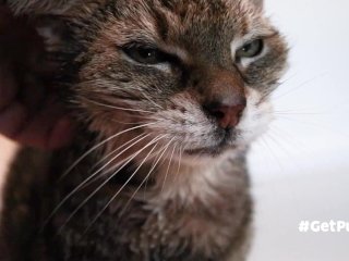 OLD GILF (granny i'd like to foster) PUSSY LIKES TO BE TOUCHED GENTLY BY YOU