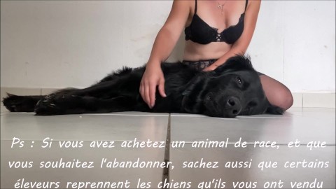 Xx Sexy Dog - Dog Porn Videos | Pornhub.com