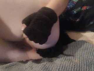 Breed in your kittens pussy