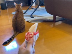 wants to play with you rather than eat - Screenshot 13 of 16