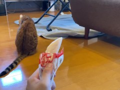 wants to play with you rather than eat - Screenshot 14 of 16