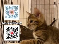 wants to play with you rather than eat - Screenshot 16 of 16