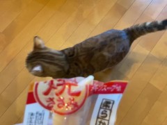 wants to play with you rather than eat - Screenshot 2 of 16