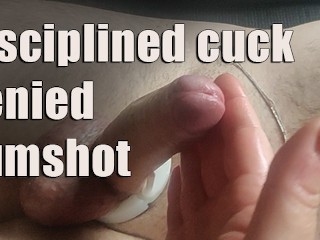 Gedisciplineerde Cuck Geweigerd Cumshot