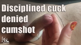 Gedisciplineerde cuck geweigerd cumshot