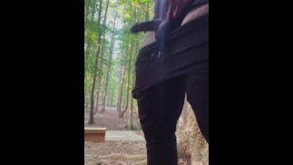 在树林里抚摸黑迪克