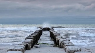 Твердый член мелькает в классе гетеросексуальной азиатской студенткой