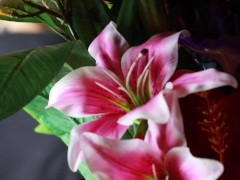 Inked Japanese Dominatrix Youko