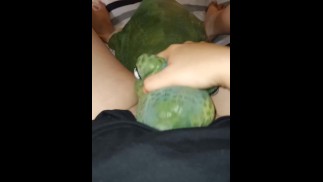 被我的霸王龙舔过的猫