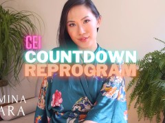CEI Countdown Reprogram - Screenshot 2 of 16 - Femdom Pov