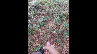 Corrida en el bosque público
