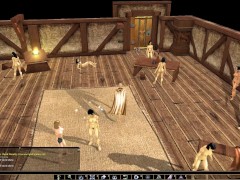 Neverwinter Nights: Nude pack and demo module