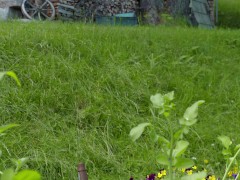 Mia Blow and Cherrycandle 