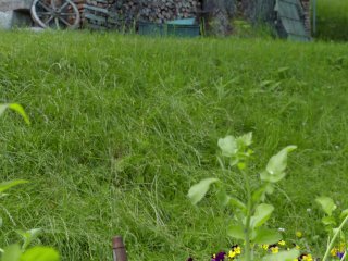 Mia Blow and Cherrycandle catch me_spying them