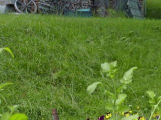 Mia Blow and Cherrycandle catch me_spying them