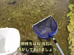 エビを取って素揚げにして食べる - Screenshot 2 of 16 - Meme Opening