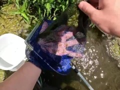 エビを取って素揚げにして食べる - Screenshot 3 of 16 - Jojo Meme