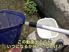 エビを取って素揚げにして食べる - Screenshot 6 of 16 - Outoor Vlog