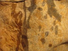 FUCVph2 KLS Bikini missed pop + bonus cumload (full session)