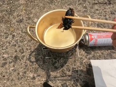 セミを素揚げにして食べる - Screenshot 10 of 16 - Outdoor Cooking