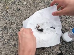 セミを素揚げにして食べる - Screenshot 14 of 16 - Outdoor Vlog