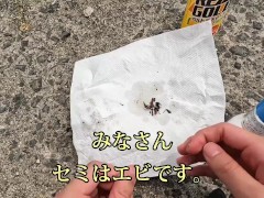 セミを素揚げにして食べる - Screenshot 16 of 16 - Cicada Recipe