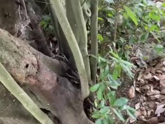 セミを素揚げにして食べる - Screenshot 2 of 16 - Boiled Cicada