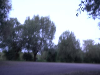 elle me branle sur le bord de la route puis je la prends en_levrette et éjacule_sur son petit anus