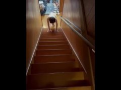 無修正。女奴隷を全裸にして階段掃除さす。露出調教。羞恥プレイ。 - Screenshot 6 of 16 - Pretty Girl