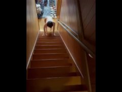 無修正。女奴隷を全裸にして階段掃除さす。露出調教。羞恥プレイ。 - Screenshot 7 of 16 - Nude Model