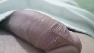 my penis is a wrinkled turtle