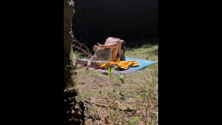 Yoga et Love dans la forêt