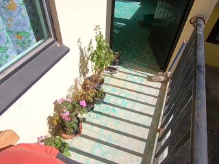 Blowjob and swallow in the sunshine on the balcony