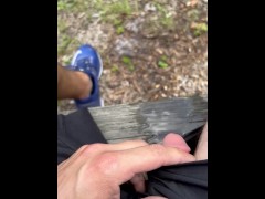 Piss fetish peeing outdoors selfpiss on bench