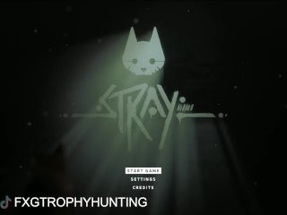 trophy, stray, trophy guide, sfw