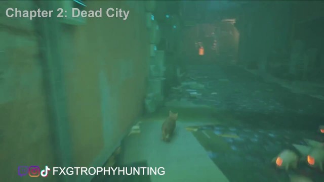 Не могу поймать меня - Stray - Призы / Руководство по достижениям