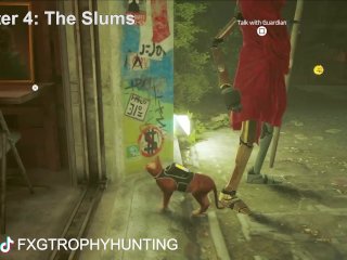 Cat's Best Friend - Stray - Trophy / Achievement Guide