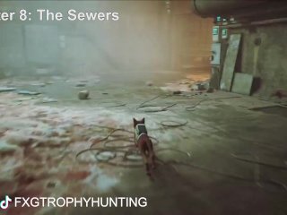 fxgtrophyhunting, guide, achievement guide, trophy guide