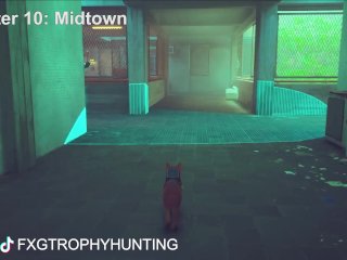 trophy hunting, achievement guide, trophy, stray