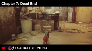 Territory - Stray - Trophy / Achievement Guide