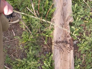 Pissing outside after edging for a while