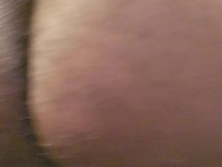 Black bear wants to be tamed.