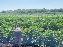 This field grows big dildos