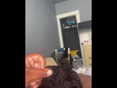 Ts Jacking Big Dick 🍆💦 - Screenshot 8 of 16 - Big Dick