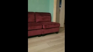 Little fox wants to play 