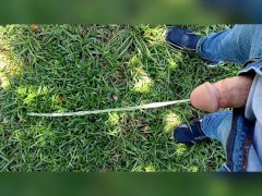 Pee Compilation - Screenshot 4 of 16 - Suburbs