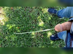 Pee Compilation - Screenshot 9 of 16 - Suburbs