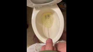 Minet pisse dans des toilettes sales