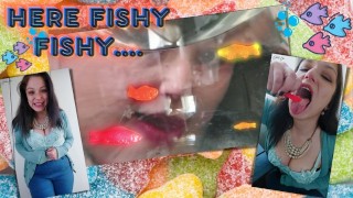 Aquí Fishy Fishy !!
